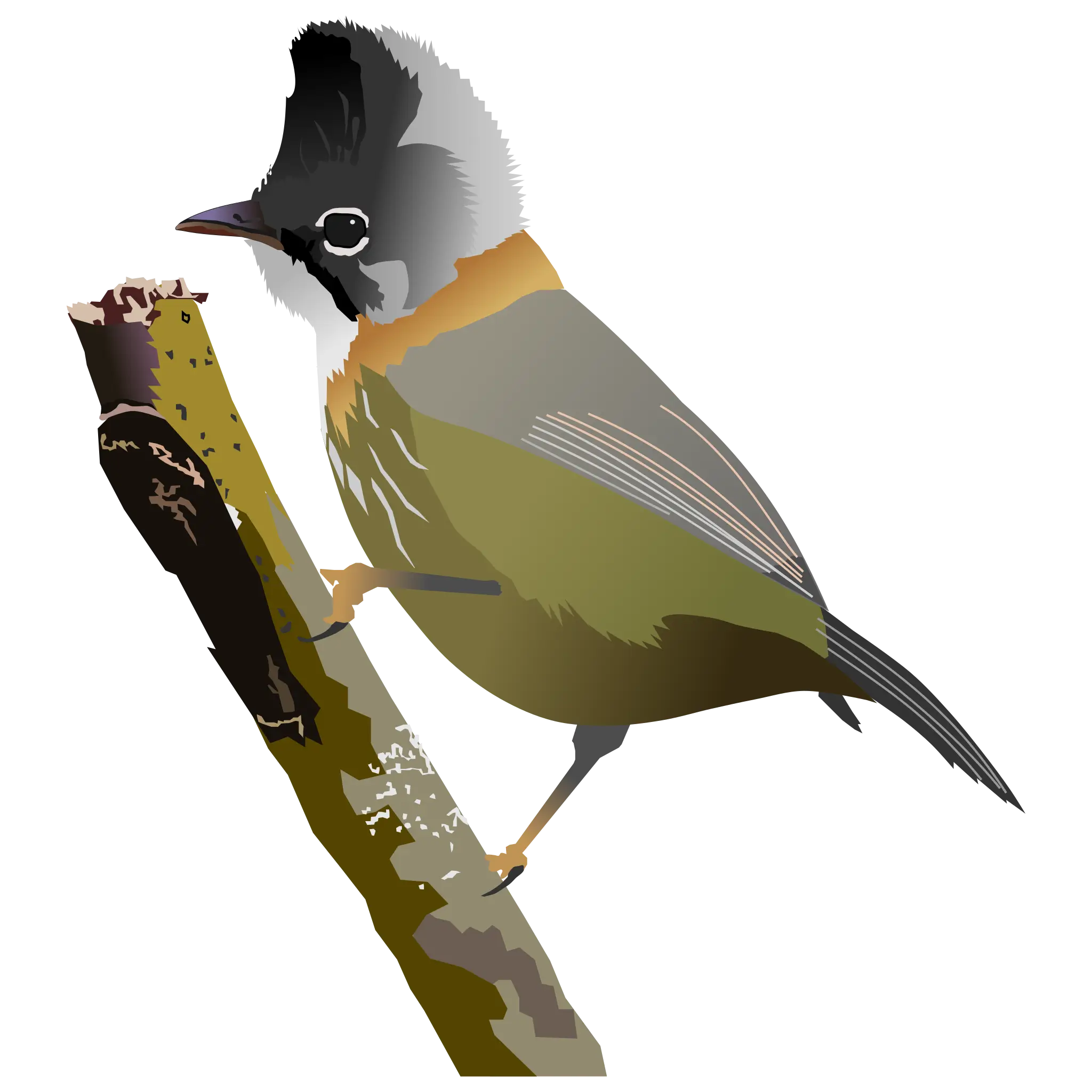 Yuhina Wildlife Management as SaaS for airports
